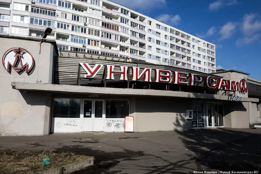 Фото: Юлия Власова / Новый Калининград